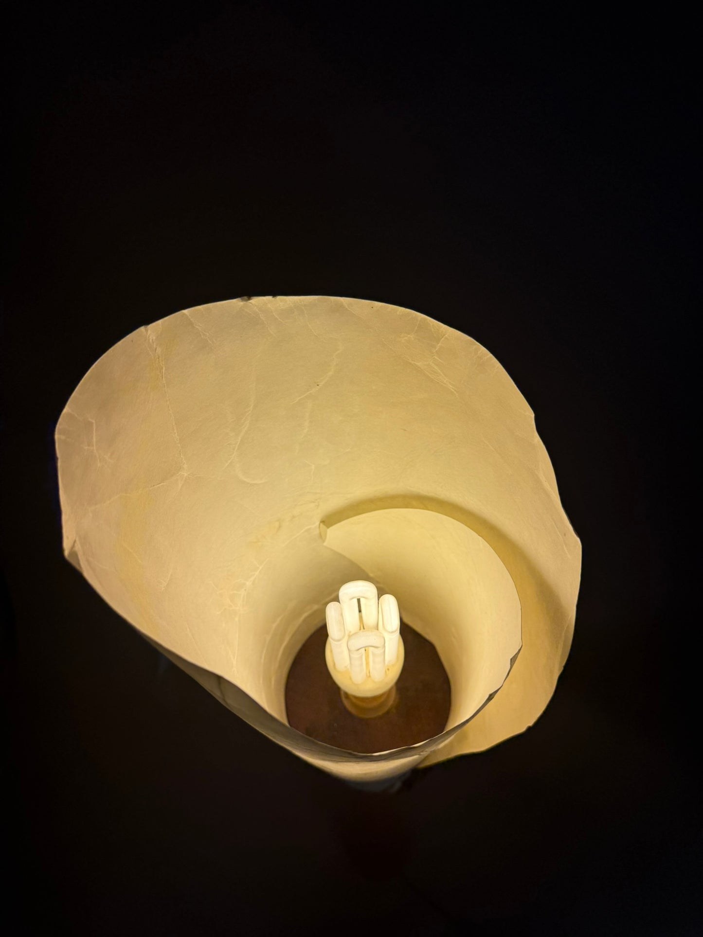 Sculptural floor lamp – exotic wood & textured shade, vintage modern style